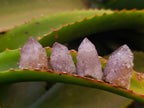 Natural Sunburst Amethyst Spirit Quartz Clusters x 26 From Boekenhouthoek, South Africa - Toprock Gemstones and Minerals 