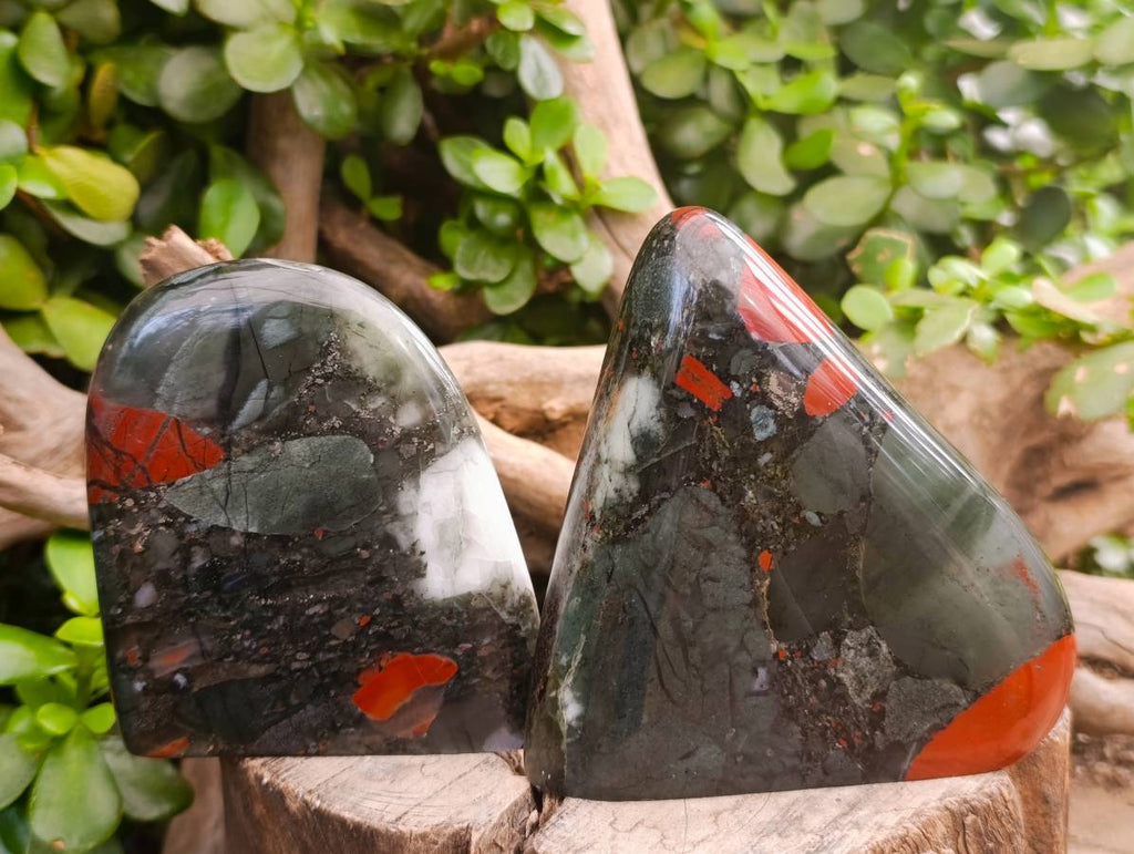 Polished Bloodstone Standing Free Forms x 3 From Swaziland - Toprock Gemstones and Minerals 