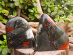 Polished Bloodstone Standing Free Forms x 3 From Swaziland - Toprock Gemstones and Minerals 