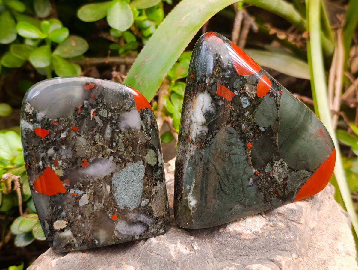 Polished Bloodstone Standing Free Forms x 3 From Swaziland - Toprock Gemstones and Minerals 