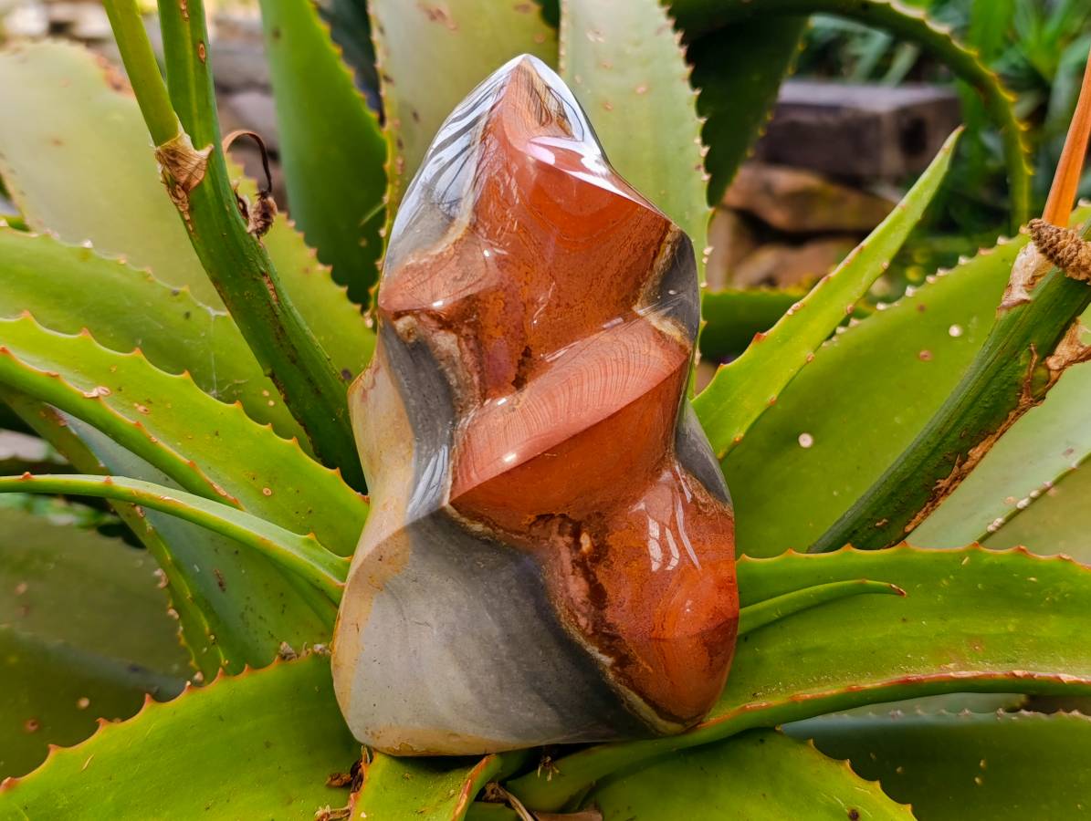 Polished Polychrome Jasper Flame x 1 From NW Coast, Madagascar - Toprock Gemstones and Minerals 
