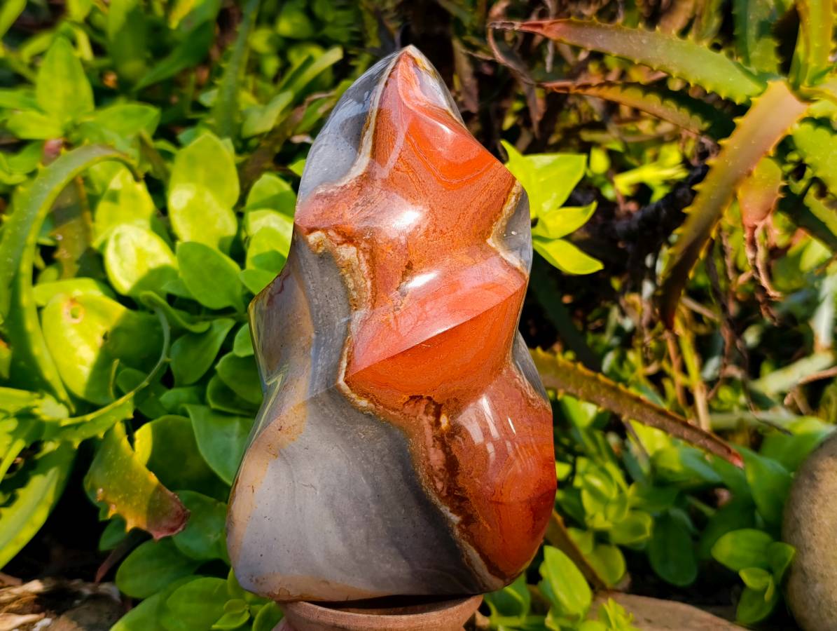 Polished Polychrome Jasper Flame x 1 From NW Coast, Madagascar - Toprock Gemstones and Minerals 