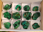 Natural Silky Malachite Specimens x 12 From Kasompe, Congo - Toprock Gemstones and Minerals 