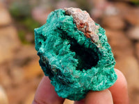 Natural Silky Malachite Specimens x 12 From Kasompe, Congo - Toprock Gemstones and Minerals 