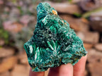 Natural Silky Malachite Specimens x 12 From Kasompe, Congo - Toprock Gemstones and Minerals 