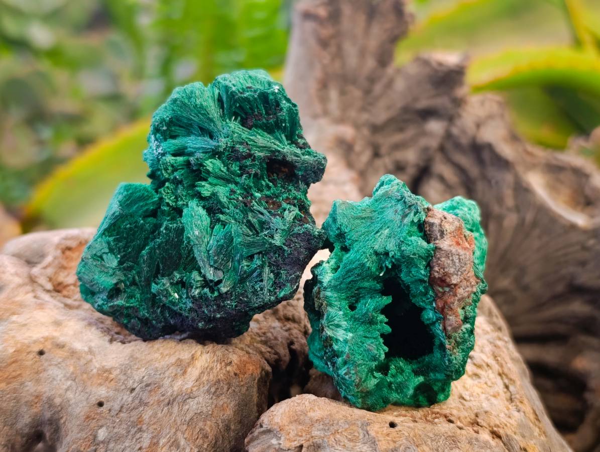 Natural Silky Malachite Specimens x 12 From Kasompe, Congo - Toprock Gemstones and Minerals 