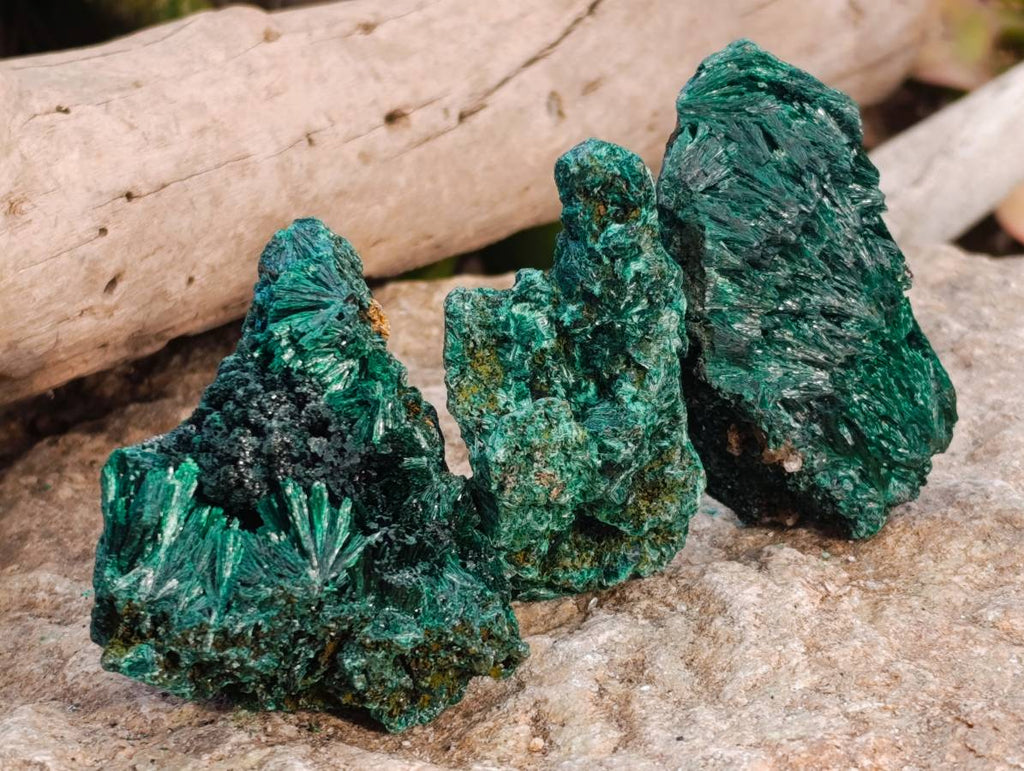 Natural Silky Malachite Specimens x 12 From Kasompe, Congo - Toprock Gemstones and Minerals 