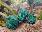 Natural Silky Malachite Specimens x 12 From Kasompe, Congo - Toprock Gemstones and Minerals 