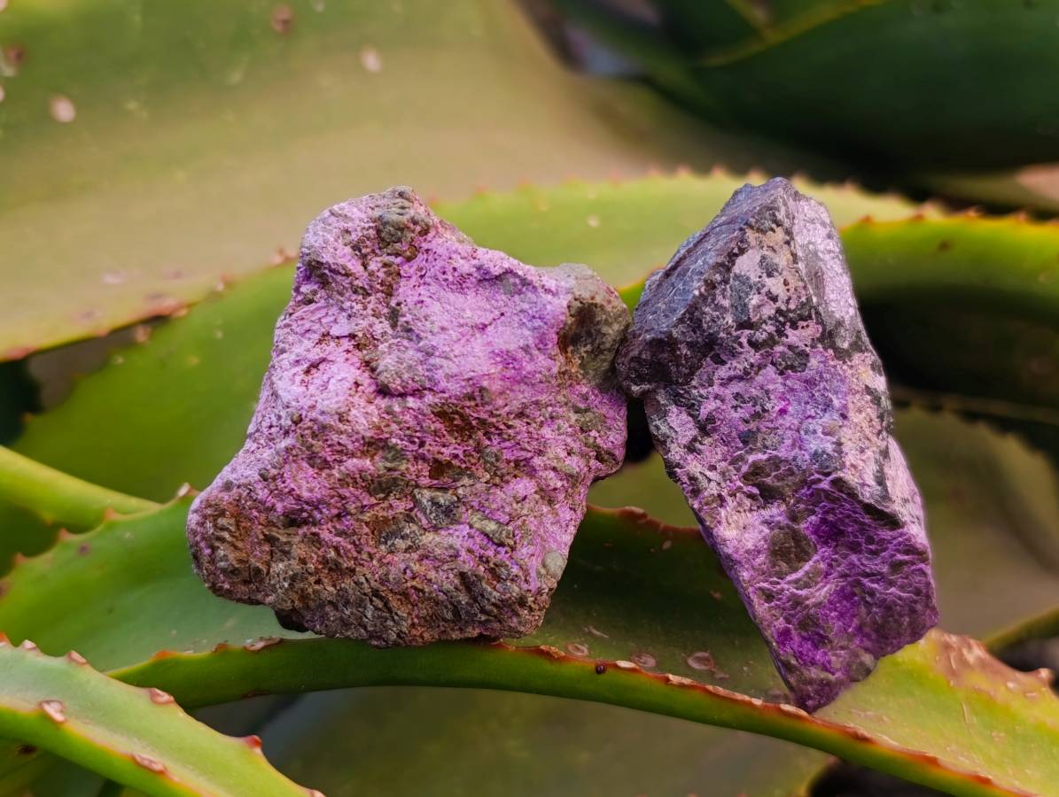 Natural Stichtite Cobbed Specimens x 35 From Barberton, South Africa - Toprock Gemstones and Minerals 