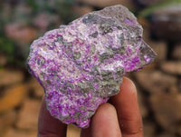 Natural Stichtite Cobbed Specimens x 35 From Barberton, South Africa - Toprock Gemstones and Minerals 
