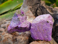 Natural Stichtite Cobbed Specimens x 35 From Barberton, South Africa - Toprock Gemstones and Minerals 