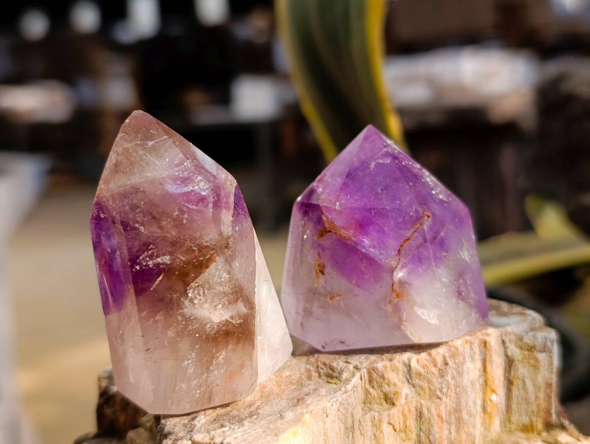 Polished Smokey Window Amethyst Quartz Crystals x 12 From Akansobe, Madagascar - Toprock Gemstones and Minerals 
