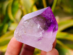 Polished Smokey Window Amethyst Quartz Crystals x 12 From Akansobe, Madagascar - Toprock Gemstones and Minerals 
