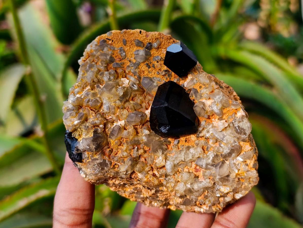 Natural Schorl Black Tourmaline with Orthoclase x 6 From Erongo, Namibia - Toprock Gemstones and Minerals 