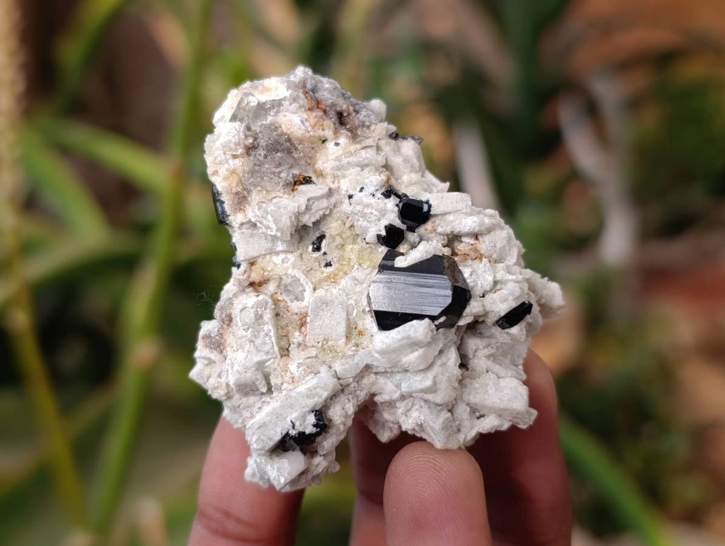 Natural Schorl Black Tourmaline with Orthoclase x 6 From Erongo, Namibia - Toprock Gemstones and Minerals 