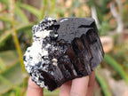 Natural Schorl Black Tourmaline with Orthoclase x 6 From Erongo, Namibia - Toprock Gemstones and Minerals 