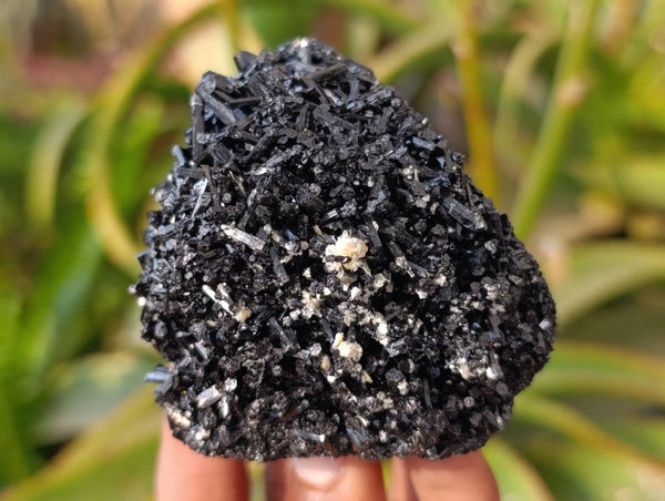 Natural Schorl Black Tourmaline with Orthoclase x 6 From Erongo, Namibia - Toprock Gemstones and Minerals 