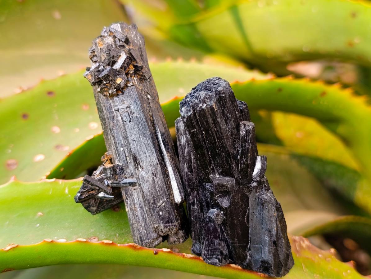 Natural Schorl Black Tourmaline with Orthoclase x 6 From Erongo, Namibia - Toprock Gemstones and Minerals 