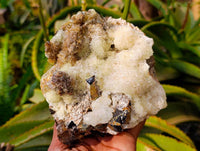Natural Schorl Black Tourmaline with Hyalite Opal x 1 From Erongo, Namibia - Toprock Gemstones and Minerals 
