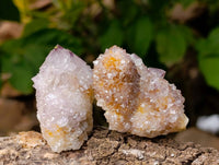 Natural Amethyst Spirit Quartz Clusters x 12 From Boekenhouthoek, South Africa - Toprock Gemstones and Minerals 