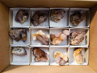 Natural Amethyst Spirit Quartz Clusters x 12 From Boekenhouthoek, South Africa - Toprock Gemstones and Minerals 
