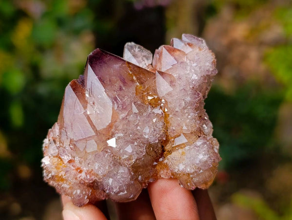 Natural Amethyst Spirit Quartz Clusters x 12 From Boekenhouthoek, South Africa - Toprock Gemstones and Minerals 