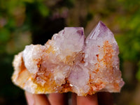 Natural Amethyst Spirit Quartz Clusters x 12 From Boekenhouthoek, South Africa - Toprock Gemstones and Minerals 
