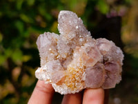 Natural Amethyst Spirit Quartz Clusters x 12 From Boekenhouthoek, South Africa - Toprock Gemstones and Minerals 