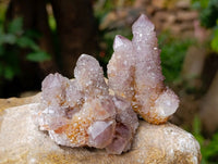 Natural Amethyst Spirit Quartz Clusters x 12 From Boekenhouthoek, South Africa - Toprock Gemstones and Minerals 