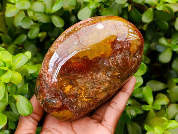 Polished Ocean Jasper Standing Free Form x 3 From Madagascar - Toprock Gemstones and Minerals 