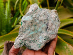 Natural Drusy Coated Chrysocolla and Malachite Specimens x 2 From Likasi, Congo - Toprock Gemstones and Minerals 