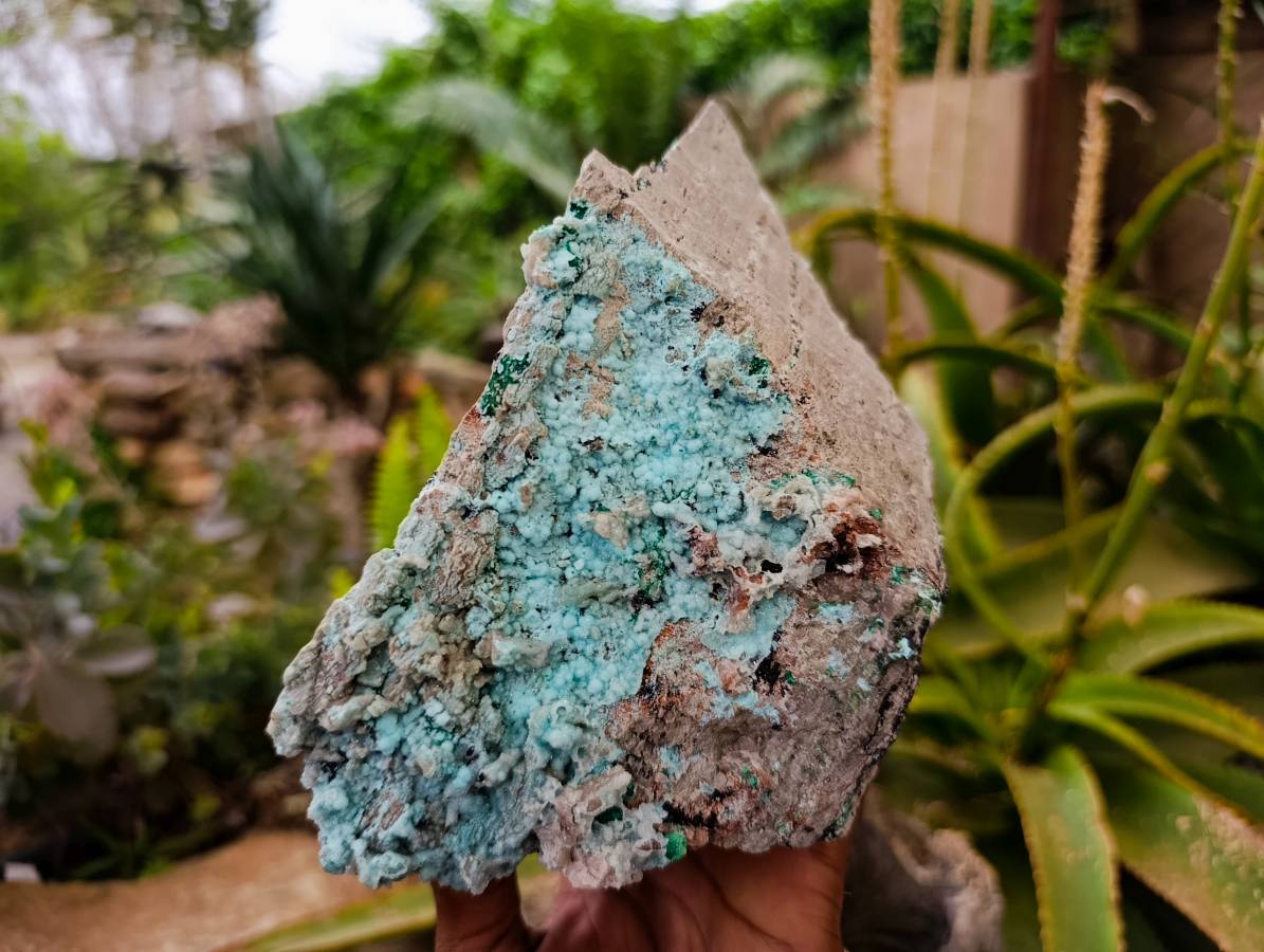 Natural Drusy Coated Chrysocolla and Malachite Specimens x 2 From Likasi, Congo - Toprock Gemstones and Minerals 