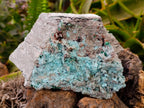 Natural Drusy Coated Chrysocolla and Malachite Specimens x 2 From Likasi, Congo - Toprock Gemstones and Minerals 