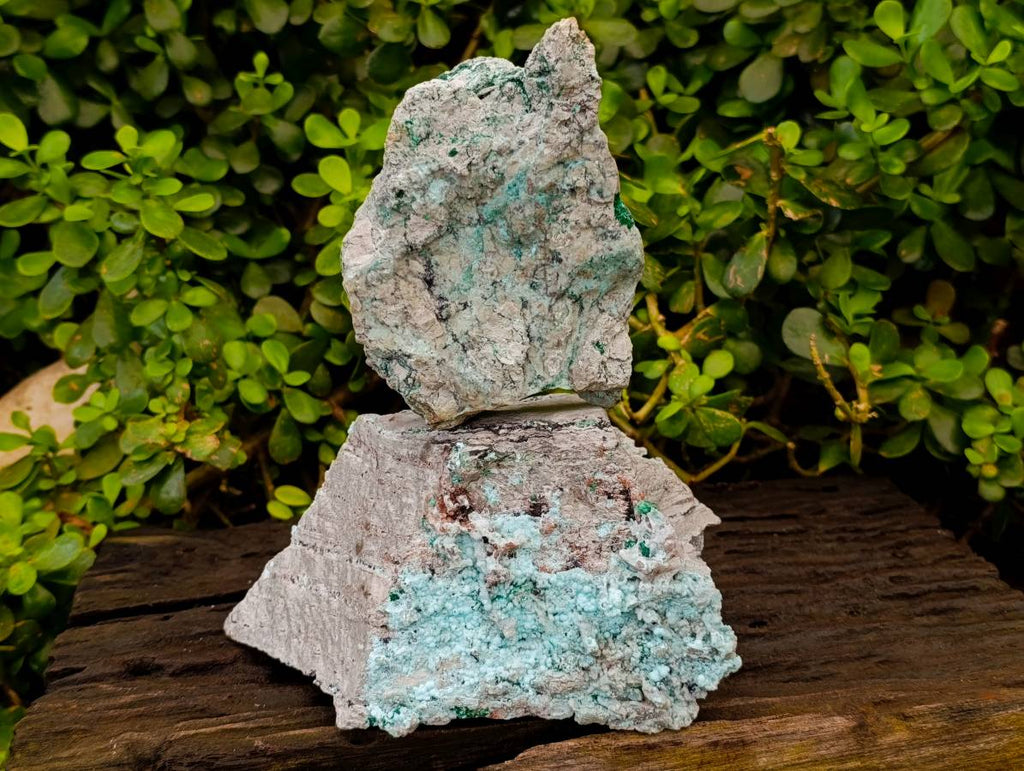 Natural Drusy Coated Chrysocolla and Malachite Specimens x 2 From Likasi, Congo - Toprock Gemstones and Minerals 