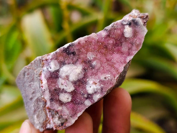 Natural Salrose Cobaltion Dolomite Specimens x 12 From Kakanda, Congo - Toprock Gemstones and Minerals 