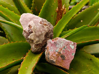 Natural Salrose Cobaltion Dolomite Specimens x 12 From Kakanda, Congo - Toprock Gemstones and Minerals 