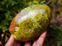Polished Green Opal Standing Free Forms x 3 From Antsirabe, Madagascar - Toprock Gemstones and Minerals 