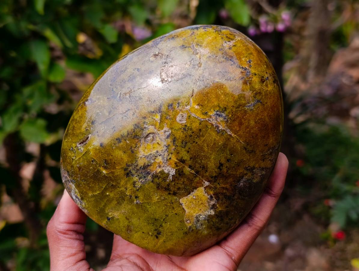 Polished Green Opal Standing Free Forms x 3 From Antsirabe, Madagascar - Toprock Gemstones and Minerals 