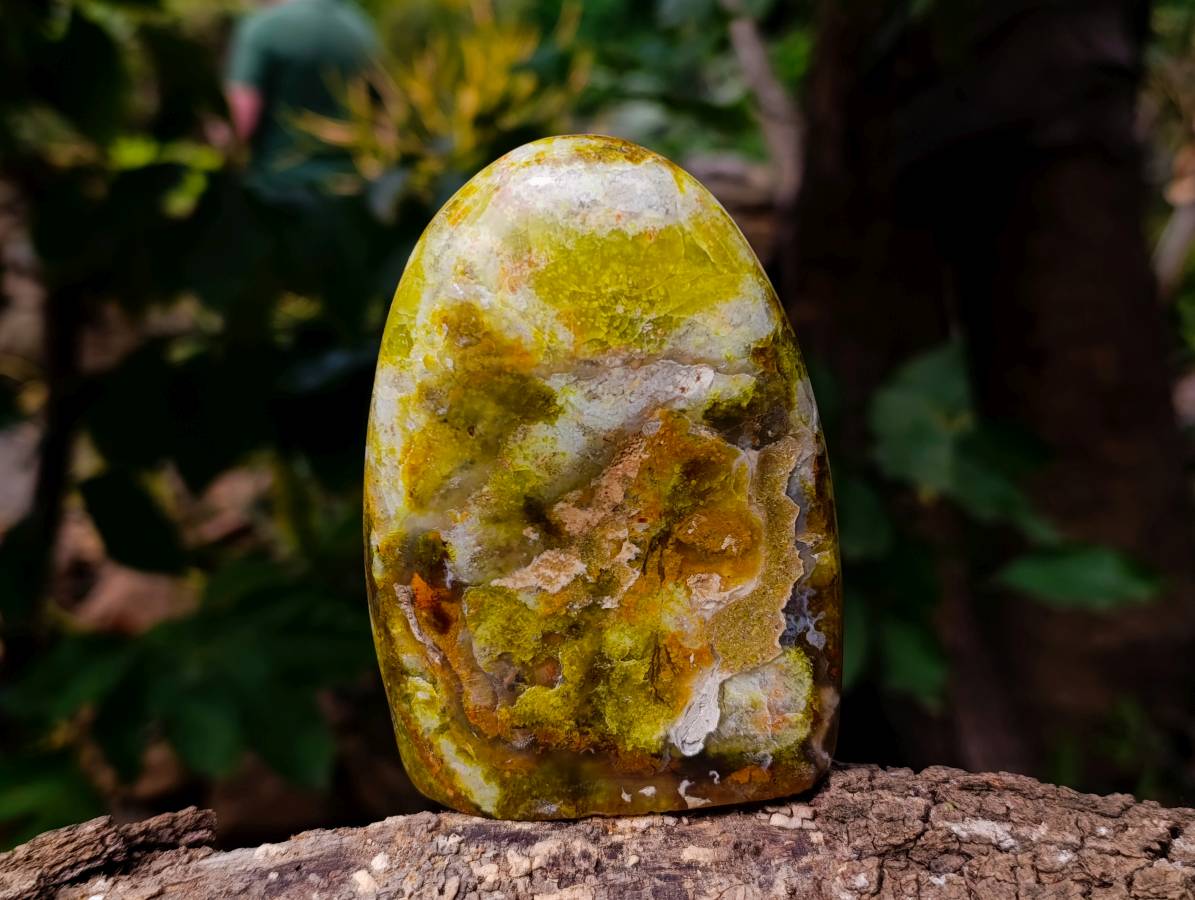 Polished Green Opal Standing Free Forms x 3 From Antsirabe, Madagascar - Toprock Gemstones and Minerals 