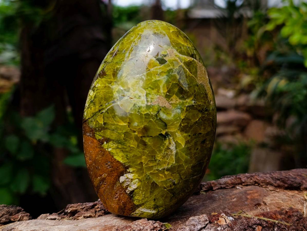 Polished Green Opal Standing Free Forms x 3 From Antsirabe, Madagascar - Toprock Gemstones and Minerals 