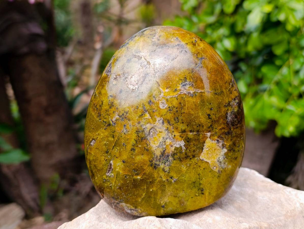 Polished Green Opal Standing Free Forms x 3 From Antsirabe, Madagascar - Toprock Gemstones and Minerals 