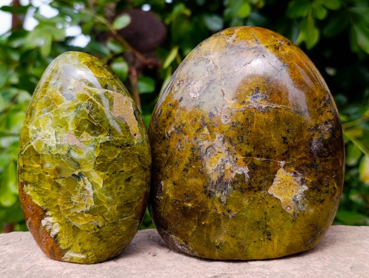 Polished Green Opal Standing Free Forms x 3 From Antsirabe, Madagascar - Toprock Gemstones and Minerals 
