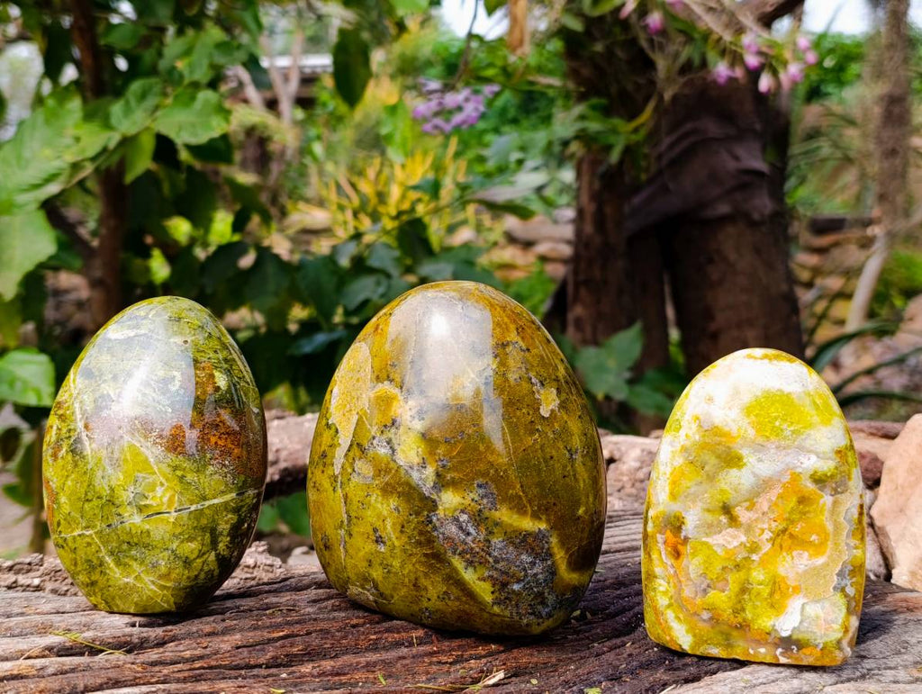 Polished Green Opal Standing Free Forms x 3 From Antsirabe, Madagascar - Toprock Gemstones and Minerals 