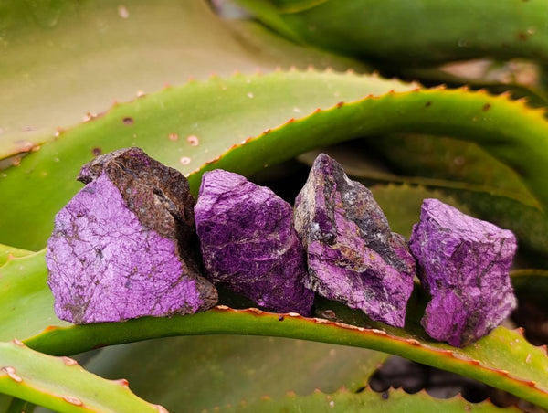 Natural Metallic Purpurite Specimens x 35 From Erongo, Namibia - Toprock Gemstones and Minerals 