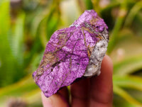 Natural Metallic Purpurite Specimens x 35 From Erongo, Namibia - Toprock Gemstones and Minerals 