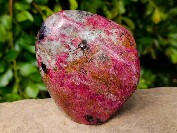Polished Rhodonite Standing Free Forms x 1 From Rhusinga, Zimbabwe - Toprock Gemstones and Minerals 