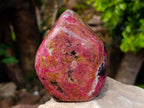 Polished Rhodonite Standing Free Forms x 1 From Rhusinga, Zimbabwe - Toprock Gemstones and Minerals 