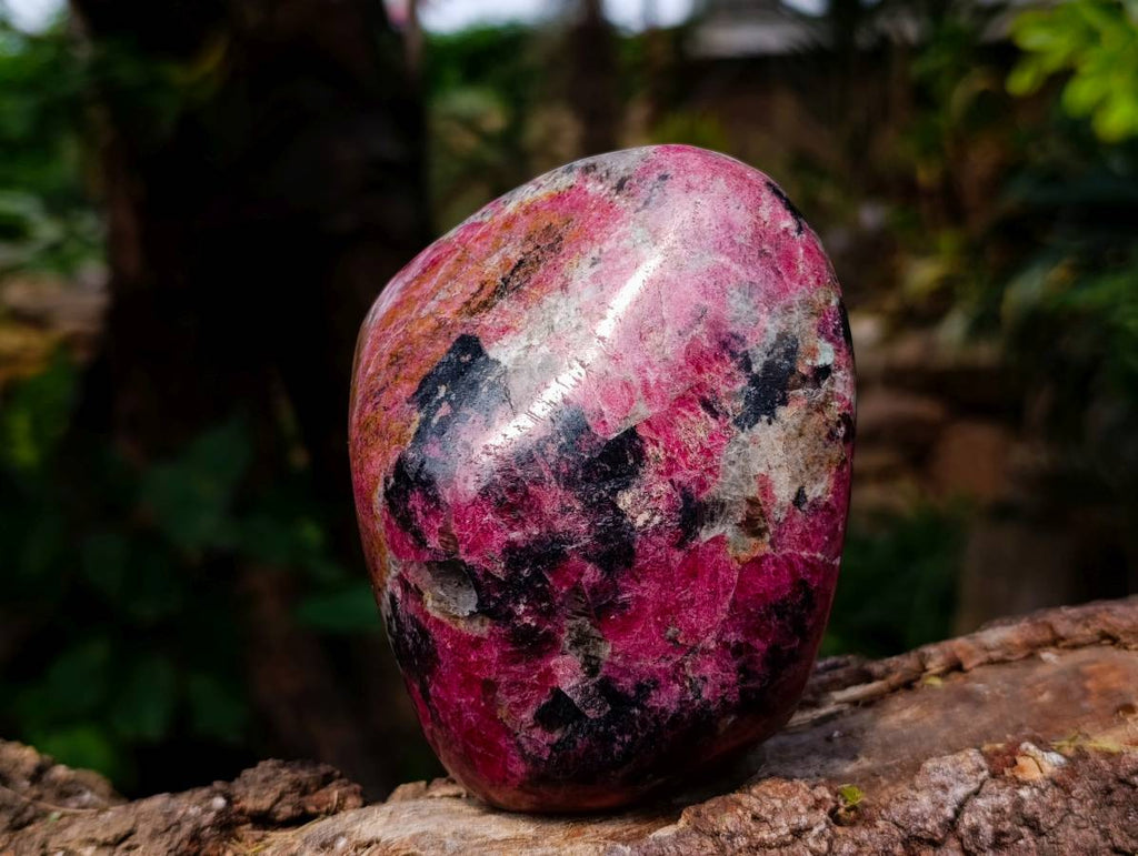 Polished Rhodonite Standing Free Forms x 1 From Rhusinga, Zimbabwe - Toprock Gemstones and Minerals 
