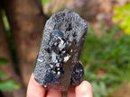 Natural Schorl Black Tourmaline with Hyalite Opal x 6 From Erongo, Namibia - Toprock Gemstones and Minerals 