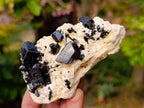 Natural Schorl Black Tourmaline with Hyalite Opal x 6 From Erongo, Namibia - Toprock Gemstones and Minerals 